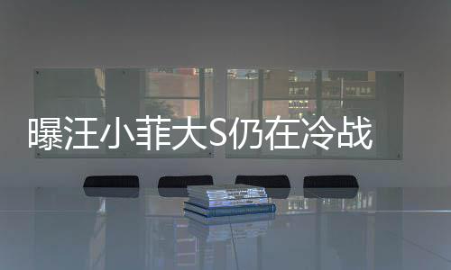 大S大S期赶回家冷战安抚方近 男曝汪小菲仍在